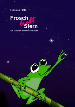 Daniela Dittel Frosch liebt Stern обложка книги