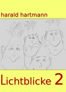 Harald Hartmann Lichtblicke 2 обложка книги