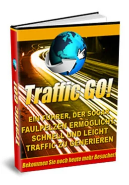 Thomas Skirde Traffic Go! обложка книги