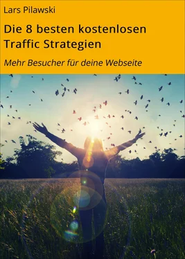 Lars Pilawski Die 8 besten kostenlosen Traffic Strategien обложка книги