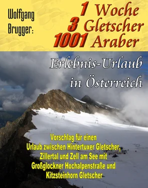 Wolfgang Brugger 1 Woche, 3 Gletscher, 1001 Araber: Erlebnis Urlaub in Österreich обложка книги