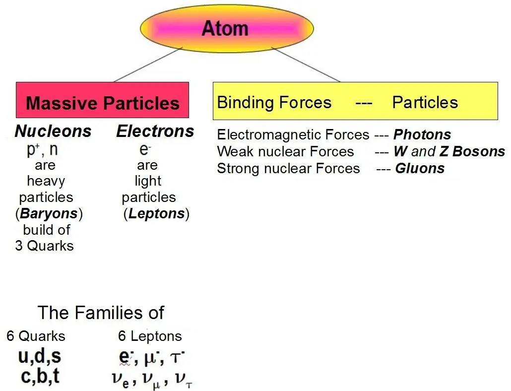 Figure 16 A simplified view of the elementary particles as constituents of the - фото 18