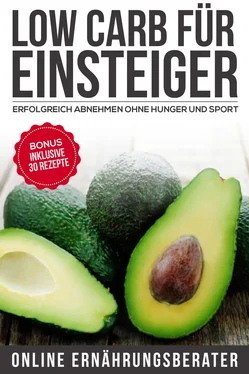 Online Ernährungsberater Low Carb für Einsteiger обложка книги