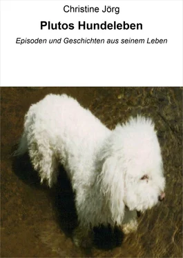 Christine Jörg Plutos Hundeleben обложка книги