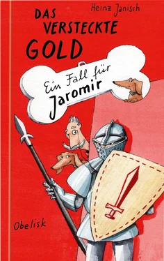 Heinz Janisch Das versteckte Gold - Ein Fall für Jaromir обложка книги