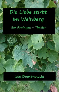 Ute Dombrowski Die Liebe stirbt im Weinberg обложка книги