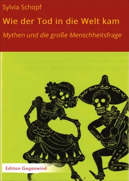 Sylvia Schopf Wie der Tod in die Welt kam обложка книги