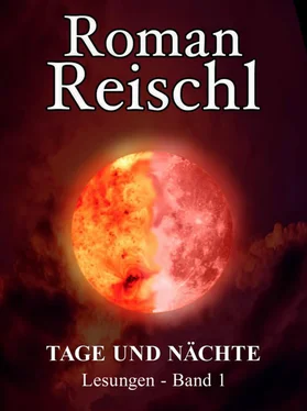 Roman Reischl TAGE UND NÄCHTE обложка книги