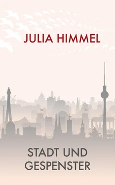 Julia Himmel Stadt und Gespenster обложка книги