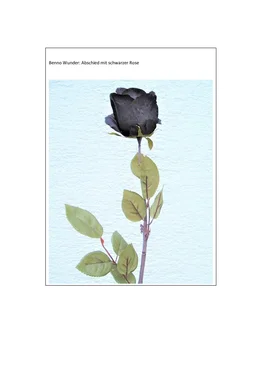 Benno Wunder Abschied mit schwarzer Rose обложка книги