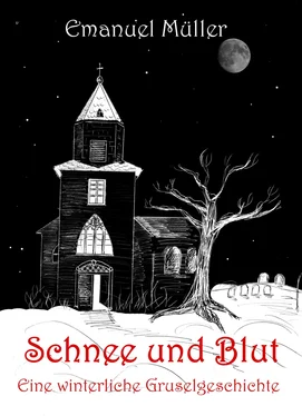 Emanuel Müller Schnee und Blut обложка книги