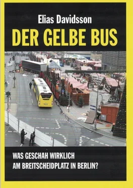 Elias Davidsson Der gelbe Bus обложка книги