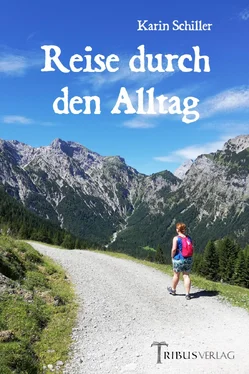 Karin Schiller Reise durch den Alltag обложка книги