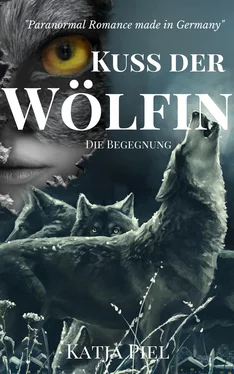 Katja Piel Kuss der Wölfin - Die Begegnung (Band 3) обложка книги