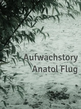 Anatol Flug Aufwachstory обложка книги