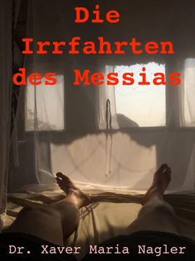 Dr. Xaver Maria Nagler Die Irrfahrten des Messias обложка книги