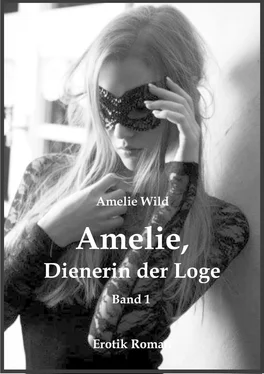Amelie Wild Amelie, Dienerin der Loge (Band 1) обложка книги