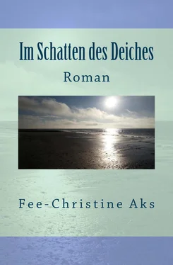 Fee-Christine Aks Im Schatten des Deiches обложка книги