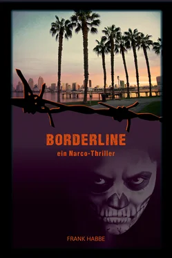 Frank Habbe Borderline обложка книги