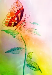 Wolfgang Grunow-Lietz - Die Raupe Frieda und Fridolin der Schmetterling