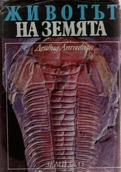 Дейвид Атънбъро - Животът на Земята