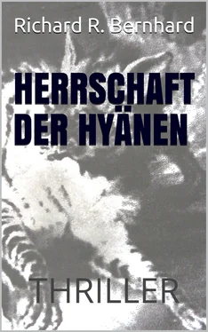 Richard R. Bernhard Herrschaft der Hyänen обложка книги