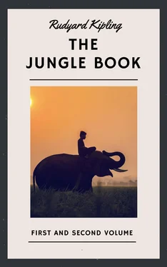 Rudyard Kipling Rudyard Kipling: The Jungle Book. First and Second Volume (English Edition) обложка книги