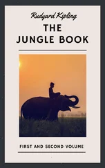 Rudyard Kipling - Rudyard Kipling - The Jungle Book. First and Second Volume (English Edition)