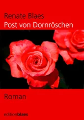 Blaes, Renate - Post von Dornröschen