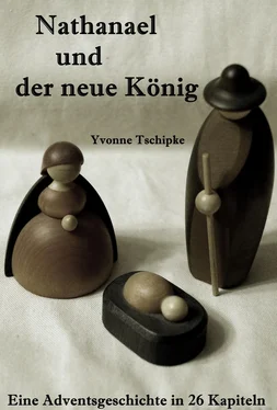 Yvonne Tschipke Nathanael und der neue König обложка книги