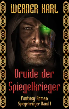Werner Karl Druide der Spiegelkrieger обложка книги