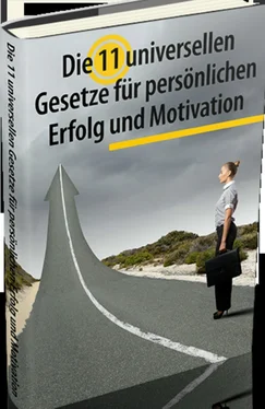 Christoph Flieger Die 11 universellen Gesetze für persönlichen Erfolg und Motivation обложка книги