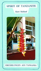 Kurt Baldauf - Spirit of Tanzanite