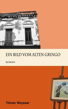 Tilman Weysser Ein Bild vom alten Gringo обложка книги