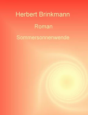 Herbert Brinkmann Sommersonnenwende обложка книги