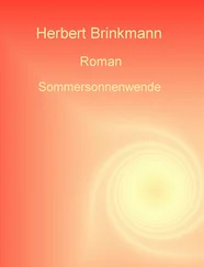 Herbert Brinkmann - Sommersonnenwende