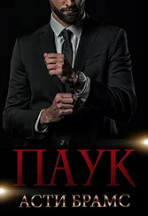 Asti Brams - Паук