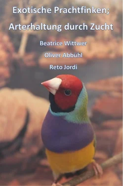 Beatrice, Oliver, Reto Wittwer, Abbühl, Jordi Exotische Prachtfinken; Arterhaltung durch Zucht обложка книги