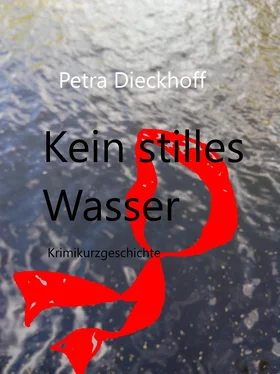 Petra Dieckhoff Kein Stilles Wasser обложка книги