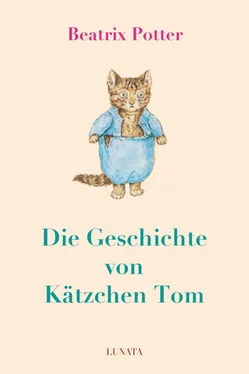 Beatrix Potter Die Geschichte von Kätzchen Tom обложка книги