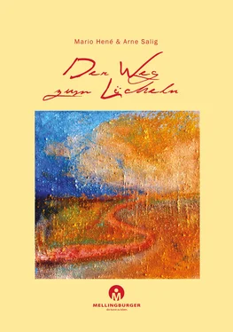 Mario Hené, Arne Salig Der Weg zum Lächeln обложка книги