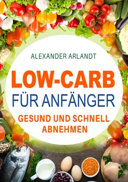 Alexander Arlandt Low-Carb für Anfänger обложка книги