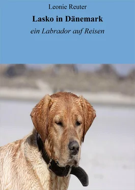 Leonie Reuter Lasko in Dänemark обложка книги