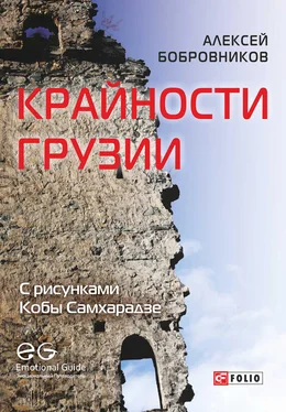 Алексей Бобровников Крайности Грузии. В поисках сокровищ Страны волков обложка книги