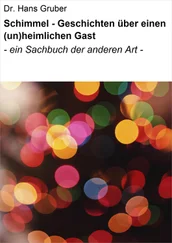 Dr. Hans Gruber - Schimmel - Geschichten über einen (un)heimlichen Gast