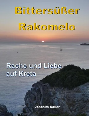 Joachim Koller Bittersüßer Rakomelo обложка книги