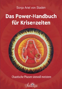 Sonja Ariel von Staden Das Power-Handbuch für Krisenzeiten обложка книги