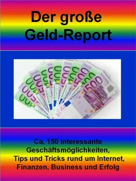 Stefan Ploberger Der große Geld-Report обложка книги