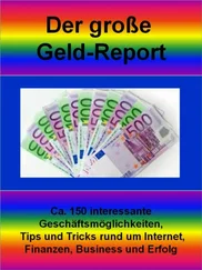Stefan Ploberger - Der große Geld-Report