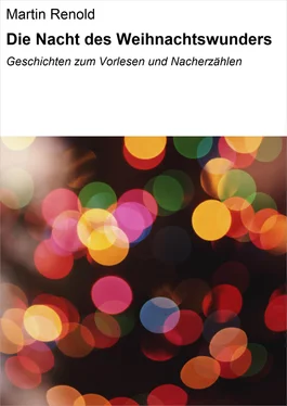 Martin Renold Die Nacht des Weihnachtswunders обложка книги